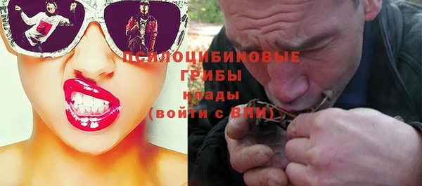трава Волоколамск