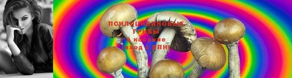 метамфетамин Верея
